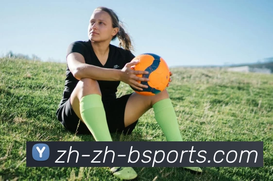 b体育平台生态图